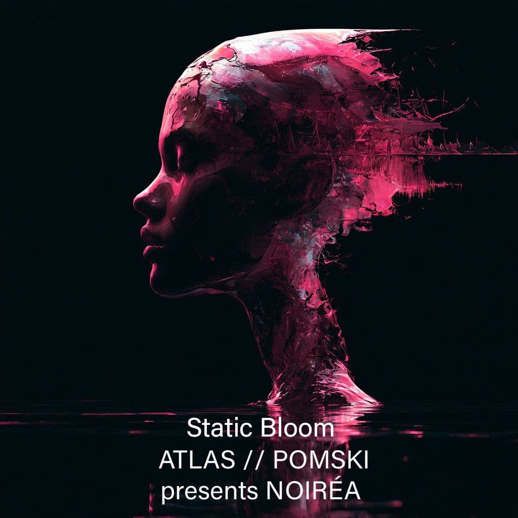 Static Bloom track art