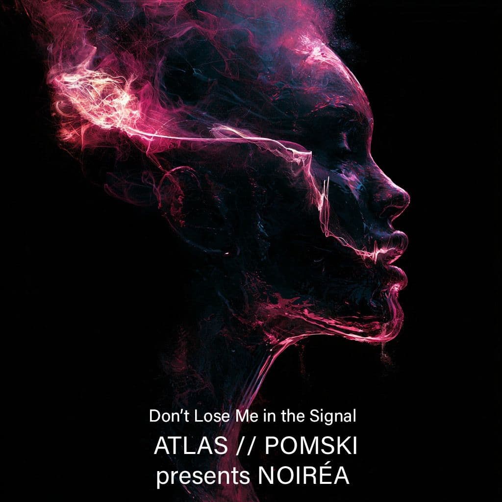 Don't Lose Me in the Signal track art